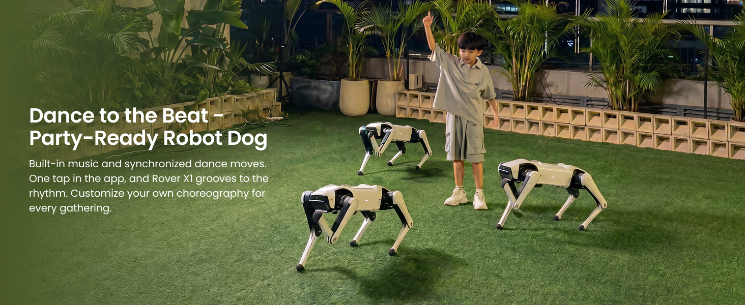 loona robot,humanoid robot,unitree